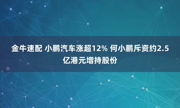 金牛速配 小鹏汽车涨超12% 何小鹏斥资约2.5亿港元增持股份